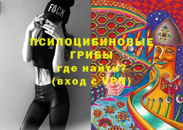 крисы Алзамай