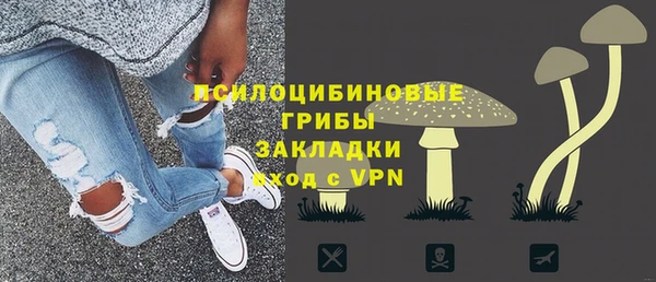 крисы Алзамай