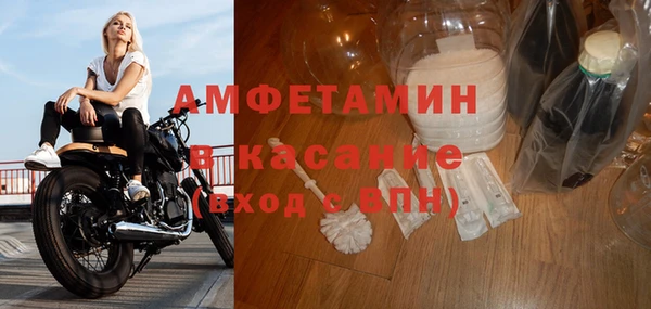 крисы Алзамай