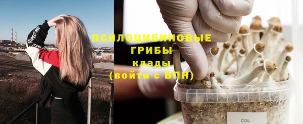 мяу мяу мука Алексин